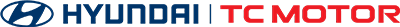 HYUNDAI TRƯỜNG CHINH
