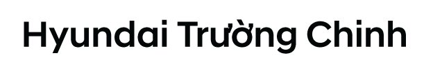 HYUNDAI TRƯỜNG CHINH